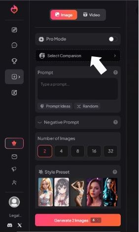 Step 2 - Choose a Companion Profile