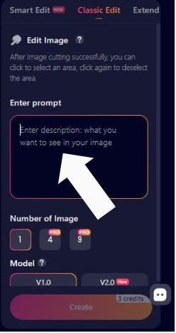 Step 2 Enter your prompt